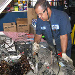 Morris Automotive
